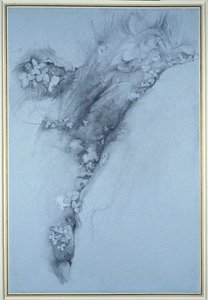 Mos og vilde jordbær af John Ruskin