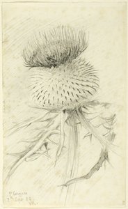 St. Cergues af John Ruskin