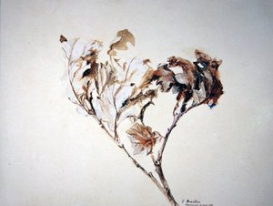 Studie af egeblade af John Ruskin