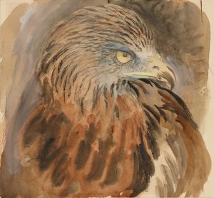 Dragehovedet, fra livet, 30. august - 1. september 1870. af John Ruskin