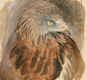 Dragehovedet, fra livet, 30. august - 1. september 1870. af John Ruskin