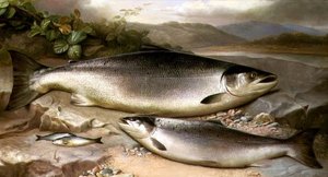Fisk Stilleben af John Russell