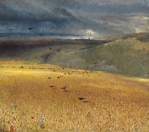 Wheatfield