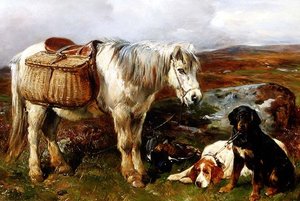Highland Pony med hunde