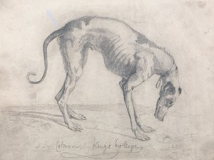 En udsultet greyhound af John Sell Cotman