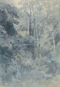 I Rokeby Park af John Sell Cotman