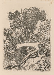 Liber Studiorum: Plade 11: Parsons Bridge, Cardingshire, 1838 af John Sell Cotman