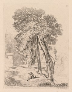 Liber Studiorum: Plade 18, Trees at Norwich Thorp, Norfolk, 1838. af John Sell Cotman