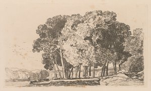 Liber Studiorum: Plade 3, Træer nær Twickenham af John Sell Cotman