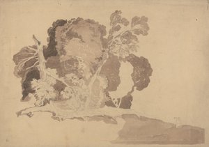 Undersøgelse af træer af John Sell Cotman