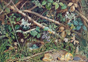 En fuglerede blandt brombær, kaprifolie og underskov, 1858