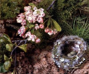 En Fuglerede og Æbleblomst