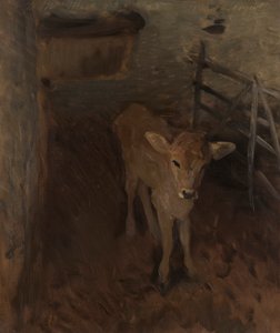 En Jerseykalv af John Singer Sargent