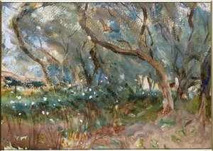 Landskab, Korfu, 1909 af John Singer Sargent