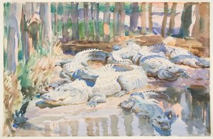 Muddy Alligators, 1917 (wc over grafit på papir) af John Singer Sargent