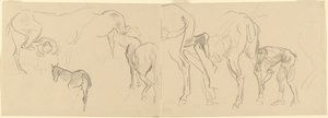 Studier til skoning af Calvary-heste ved fronten [recto], 1918. af John Singer Sargent