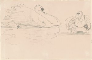 Svaner i vandet, 1880-1900. af John Singer Sargent