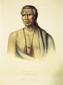 Portræt af Lap-pa-win-soe, 1837 (håndfarvet litho)