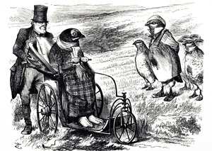 En tegneserie, der kommenterer suspenderingen af Grouse Shooting for at give bestanden mulighed for at genopbygge. Illustreret af John Tenniel (1820-1914), en engelsk illustrator, grafisk humorist og politisk tegneserieskaber af John Tenniel