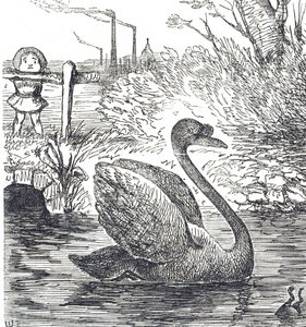 Tegneserie, der kommenterer forureningen af Themsen i London af John Tenniel