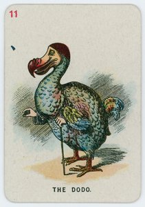 Dodo