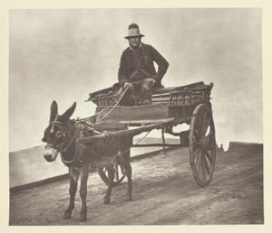 Black Jack af John Thomson