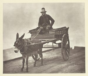 Black Jack, 1881. af John Thomson