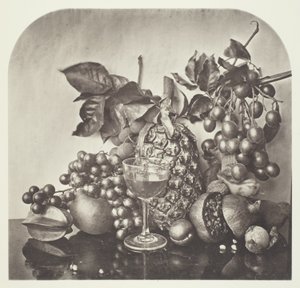 Frugt af John Thomson