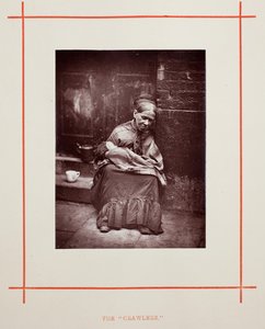 Kravlerne, 1877. af John Thomson