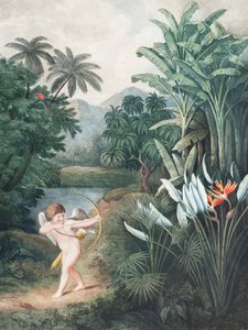 Cupido inspirerer planter med kærlighed fra Flora-templet (1807) af Robert John Thornton af John Thornton