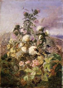 En guldfink og en sommerfugl blandt tidsler og brombærblomster