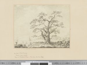 F.44 Udsigt på havkysten, stort træ i midten, ca. 1783-84 af John Webber