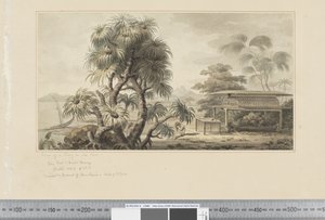 F.46 Udsigt over en grav ved havet, ca. 1783-84 (akvarel) af John Webber