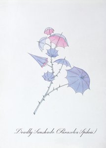 Deadly Sunshade (Parasolia Spikeii.), illustration fra 