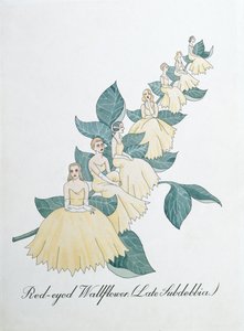 Red-eyed Wallflower (Late Subdebbia), illustration fra 