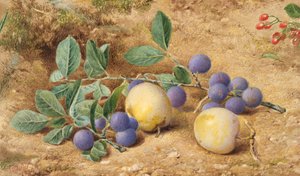 Blommer, 1870.