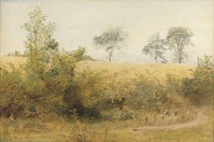 Flagermusen begynder med svimlende vinge - Bygmark over hækken, 1885 (wc & blyant med ridser ud på papir)