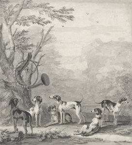 Hunde i et landskab (grafit, kuglepen, brun blæk og grå vask) af John Wootton