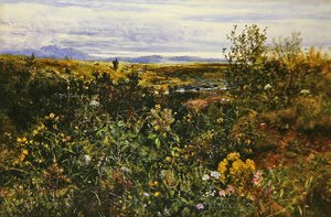 Omfattende landskab med vilde blomster, ca. 1855-1860 (olie på bord)