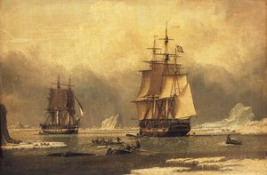 "Svanen" og "Isabella" hvalfangsten i Arktis, af John of Hull Ward
