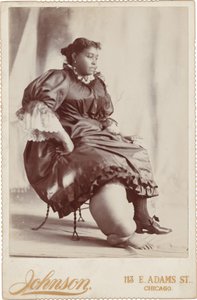 Portræt af en kvinde, ca. 1890 (foto) af Johnson