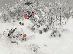 Rødhovedede finker i sneen af Jolly and Dash