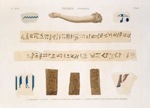 Illustrationer af hieroglyffer og armen af en mumie fra Hypogees, Theben, plade 48 fra bind II af `Descriptions of Egypt`, indgraveret af Charles, 1822 (akvatint) af Jomard