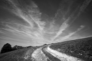 Goodwood Estate i West Sussex, Storbritannien, 2019 (foto) af Jon Nicholson