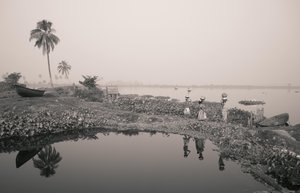 Fiskeri i vådområder i Kolkata, 2016 (foto)