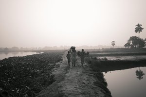 Fiskeri i vådområder i Kolkata, 2016 (foto)