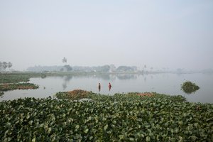 Fiskeri i vådområder i Kolkata, 2016 (foto)