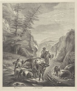 Hyrder med husdyr på en bjergvej