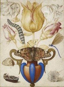 Arrangement af blomster i en vase, med insekter, 1594 (Akvarel med guld på vellum) af Joris Hoefnagel
