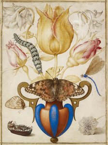 Arrangement af blomster i en vase, med insekter, 1594 af Joris Hoefnagel